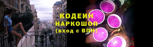 прущий лед Новозыбков