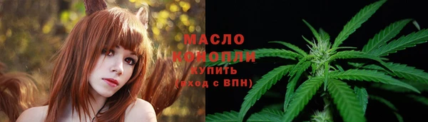 сатива Новодвинск