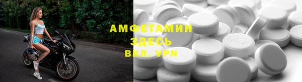 сатива Новодвинск