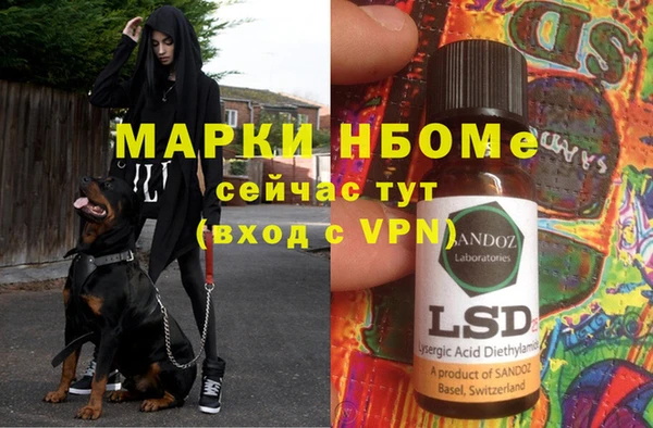 стаф Абаза