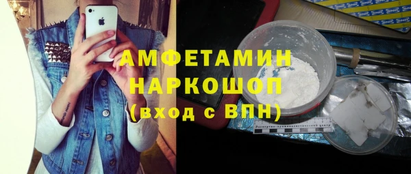 сатива Новодвинск
