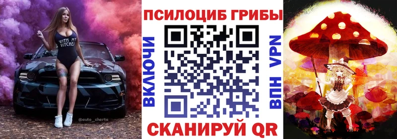 купить наркотики сайты Белая Калитва Псилоцибиновые грибы ЛСД